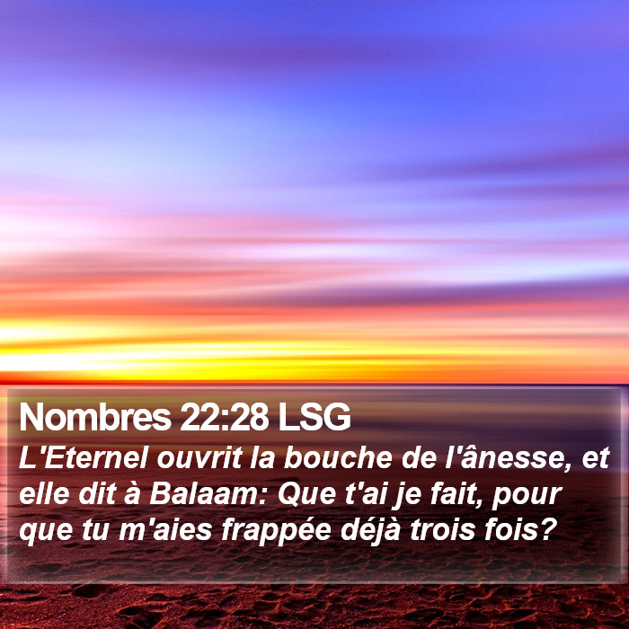 Nombres 22:28 LSG Bible Study