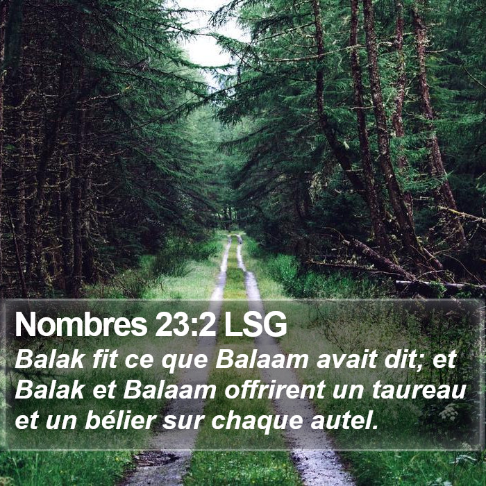 Nombres 23:2 LSG Bible Study