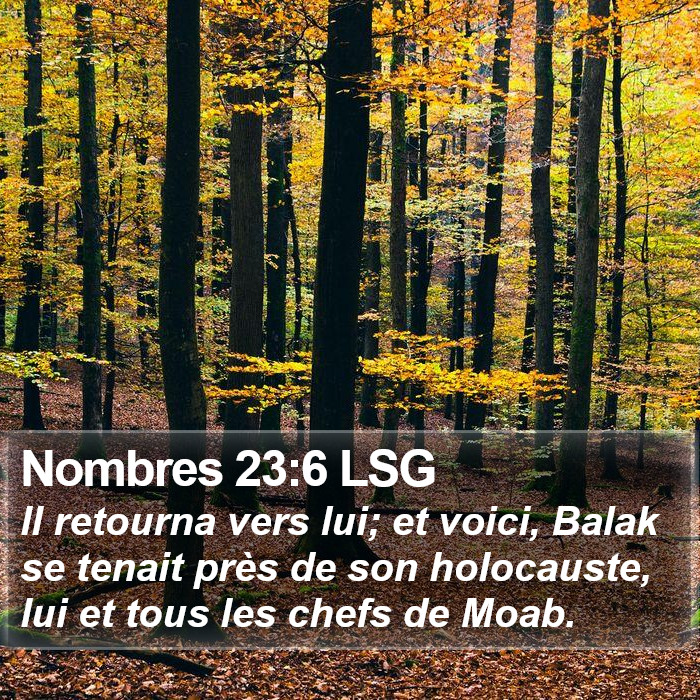 Nombres 23:6 LSG Bible Study