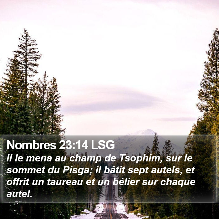 Nombres 23:14 LSG Bible Study