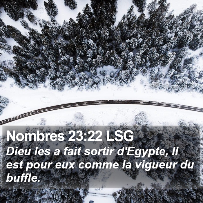 Nombres 23:22 LSG Bible Study