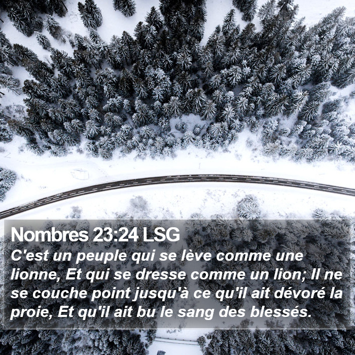 Nombres 23:24 LSG Bible Study