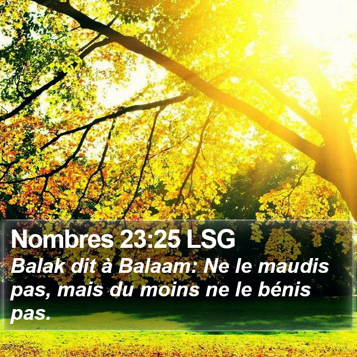 Nombres 23:25 LSG Bible Study