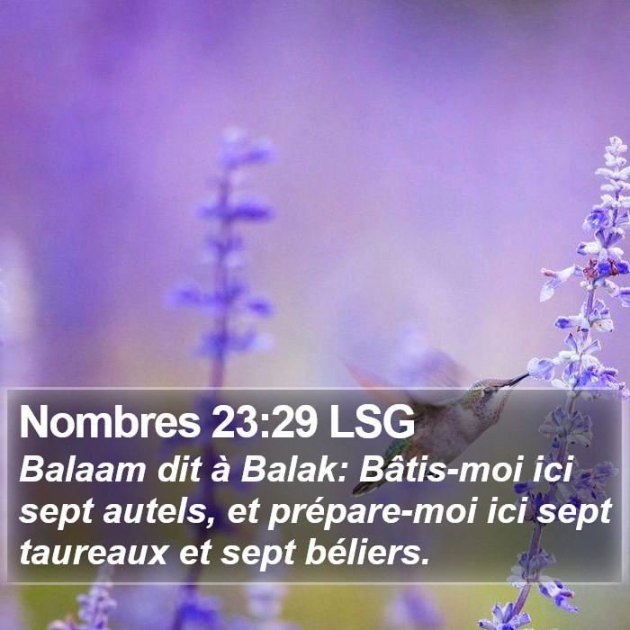 Nombres 23:29 LSG Bible Study