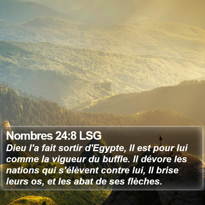 Nombres 24:8 LSG Bible Study