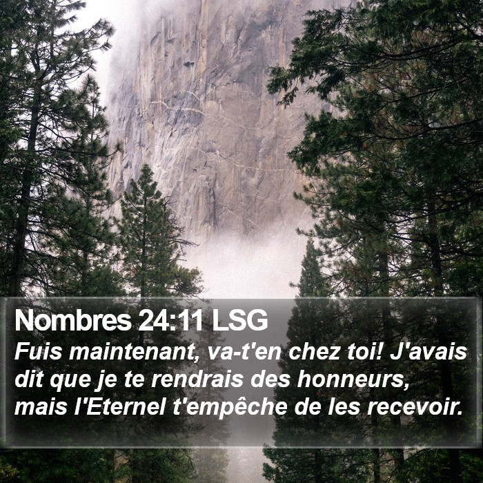 Nombres 24:11 LSG Bible Study