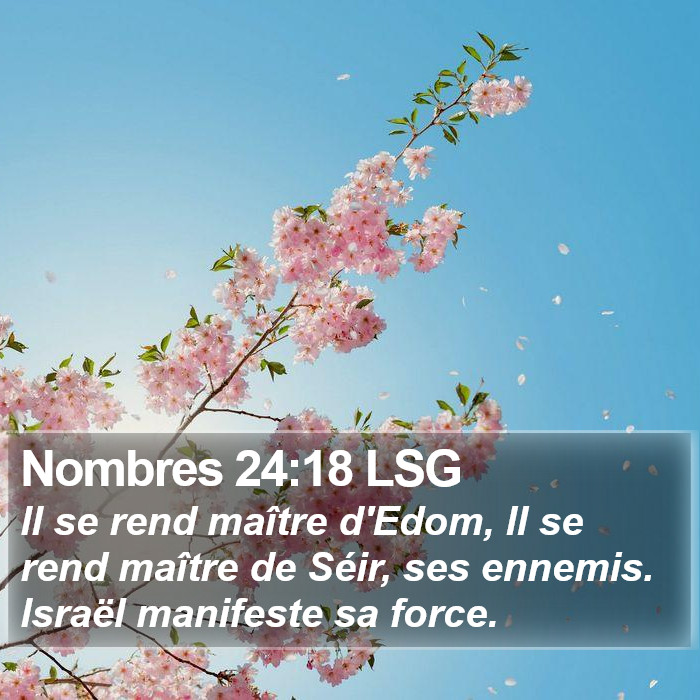 Nombres 24:18 LSG Bible Study