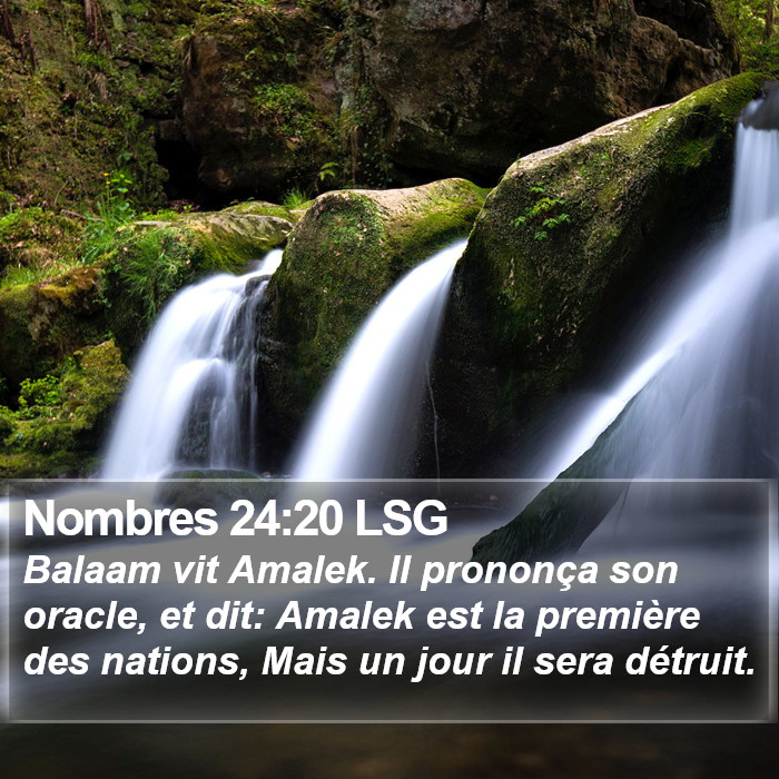 Nombres 24:20 LSG Bible Study