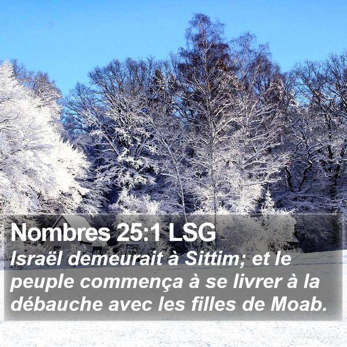 Nombres 25:1 LSG Bible Study