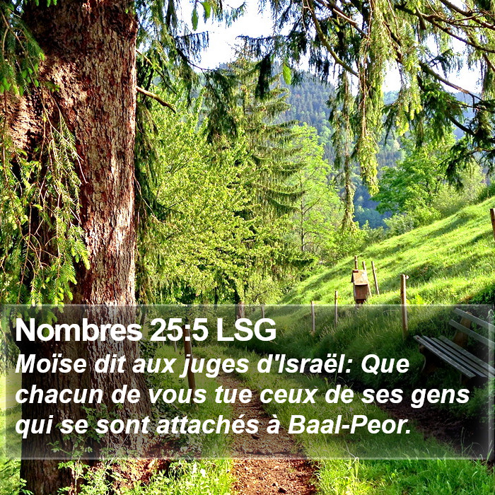 Nombres 25:5 LSG Bible Study