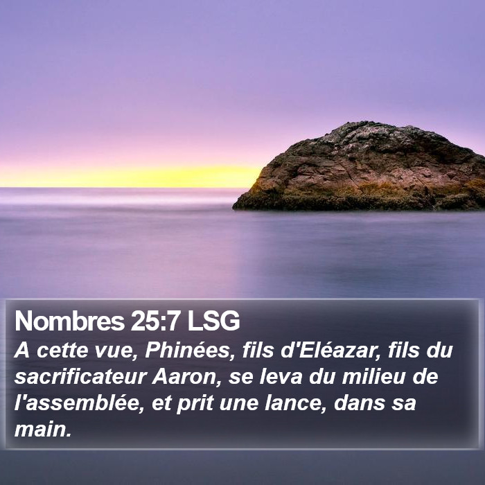 Nombres 25:7 LSG Bible Study