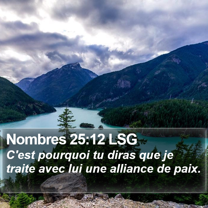 Nombres 25:12 LSG Bible Study