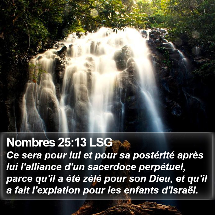 Nombres 25:13 LSG Bible Study