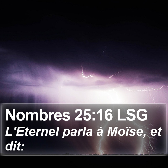 Nombres 25:16 LSG Bible Study