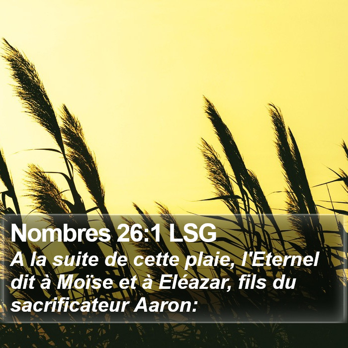 Nombres 26:1 LSG Bible Study