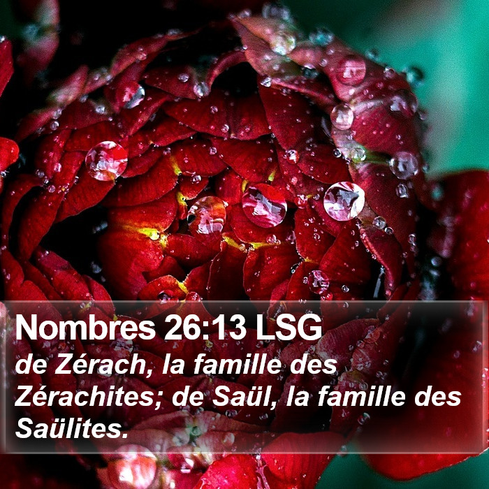 Nombres 26:13 LSG Bible Study