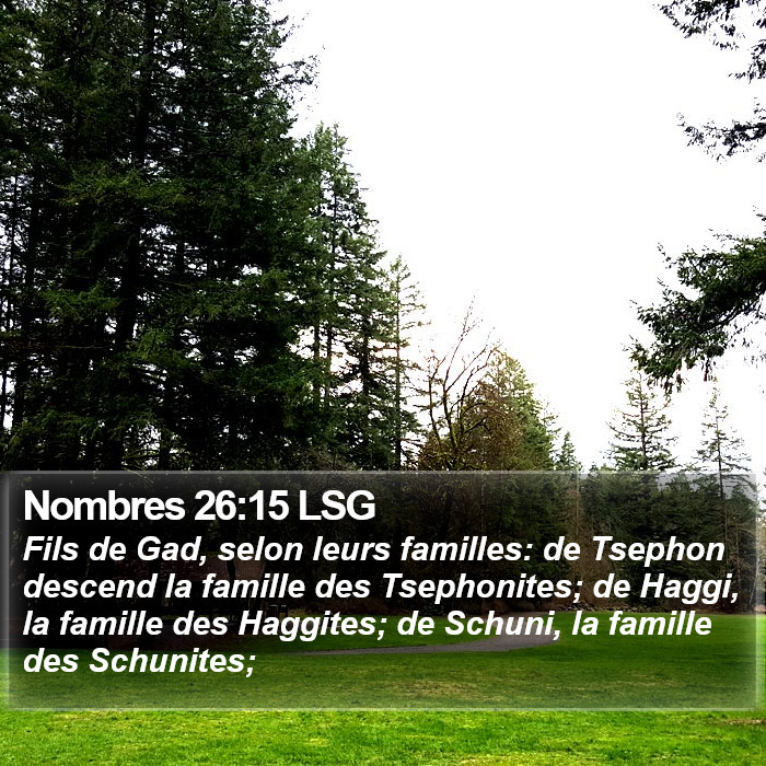 Nombres 26:15 LSG Bible Study
