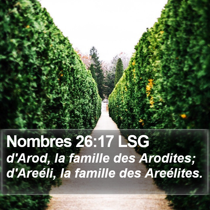 Nombres 26:17 LSG Bible Study