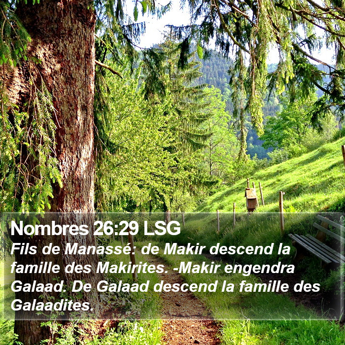 Nombres 26:29 LSG Bible Study