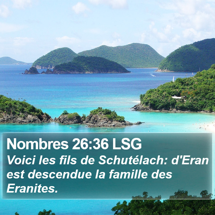 Nombres 26:36 LSG Bible Study