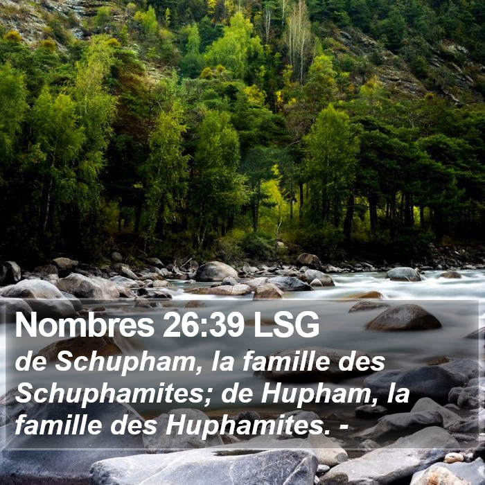 Nombres 26:39 LSG Bible Study