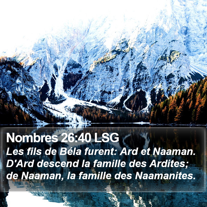 Nombres 26:40 LSG Bible Study