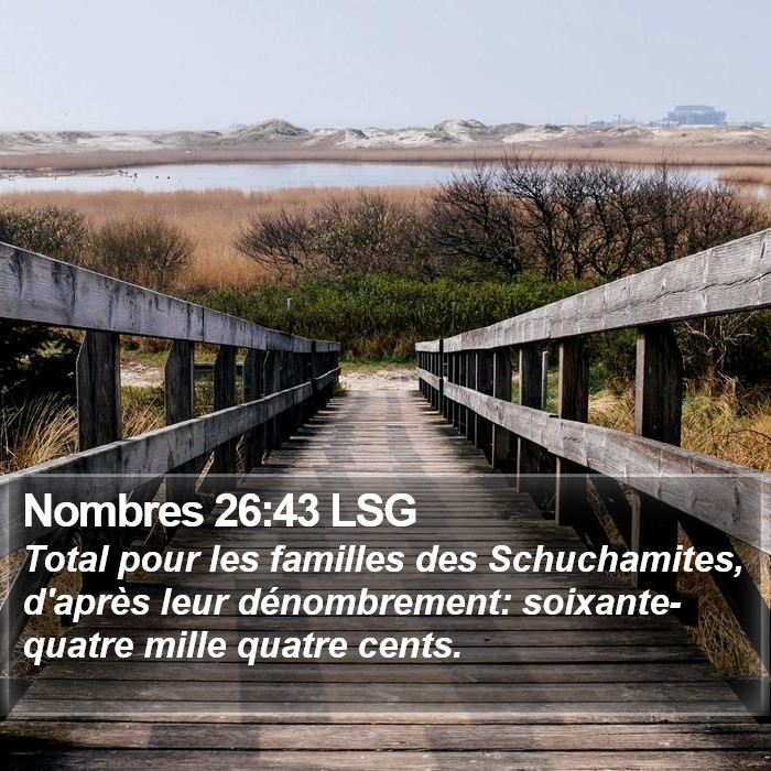 Nombres 26:43 LSG Bible Study