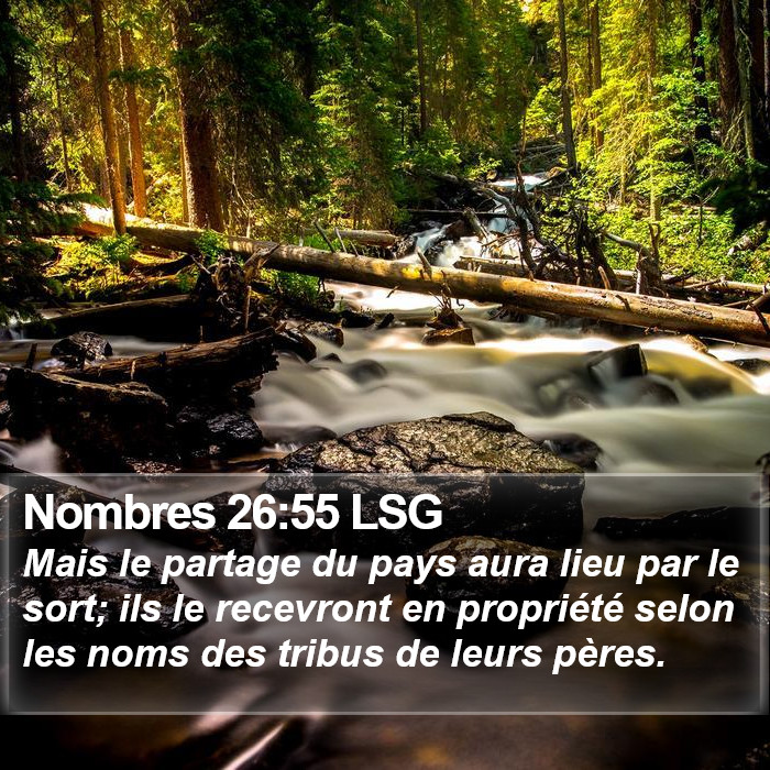 Nombres 26:55 LSG Bible Study