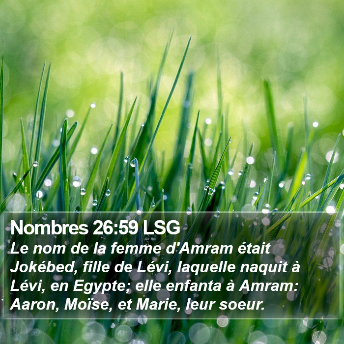 Nombres 26:59 LSG Bible Study