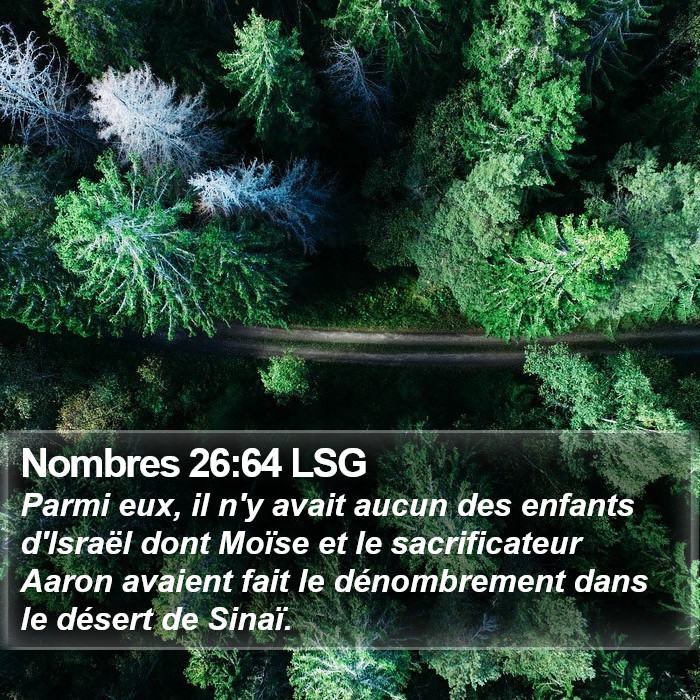 Nombres 26:64 LSG Bible Study
