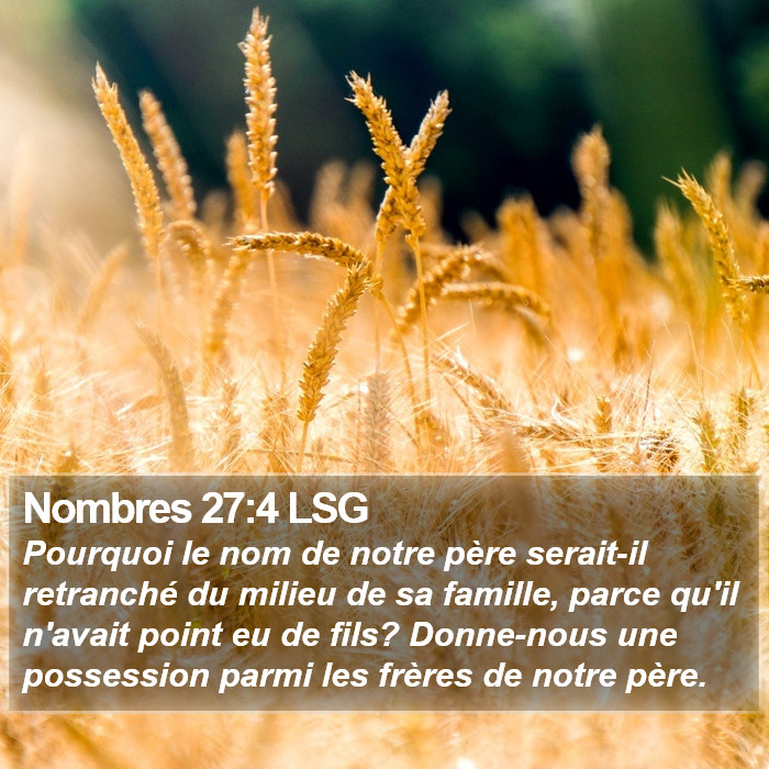 Nombres 27:4 LSG Bible Study