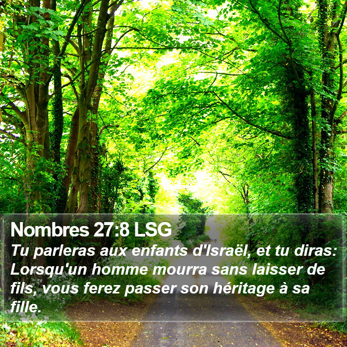 Nombres 27:8 LSG Bible Study