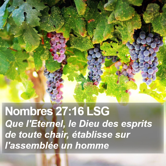 Nombres 27:16 LSG Bible Study