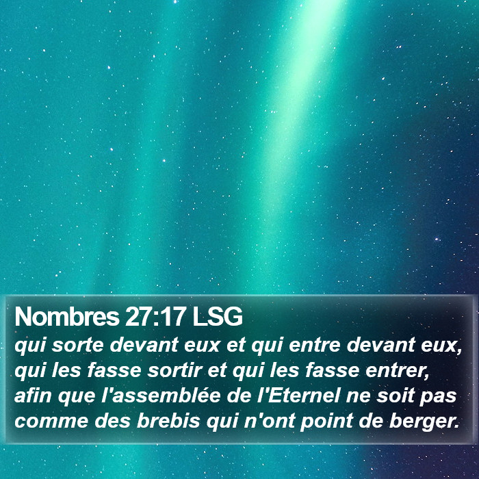 Nombres 27:17 LSG Bible Study