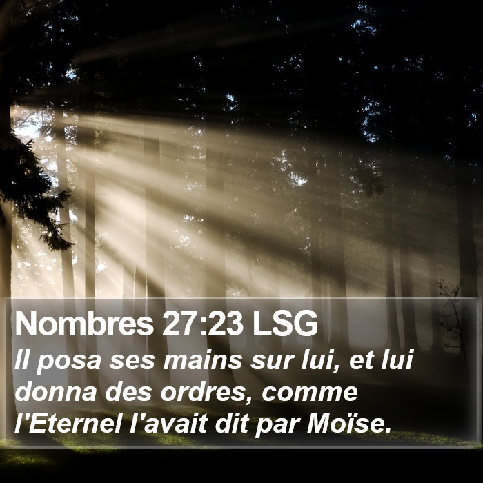 Nombres 27:23 LSG Bible Study
