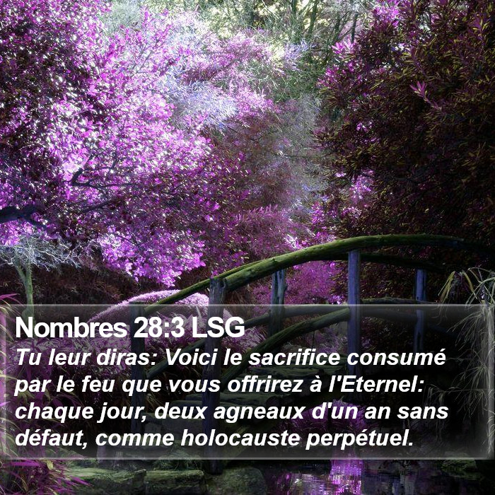 Nombres 28:3 LSG Bible Study