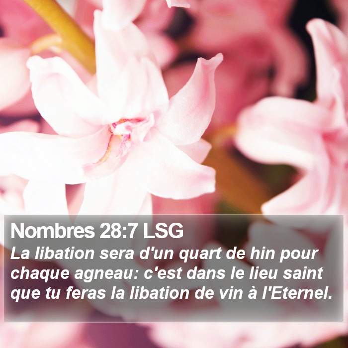 Nombres 28:7 LSG Bible Study