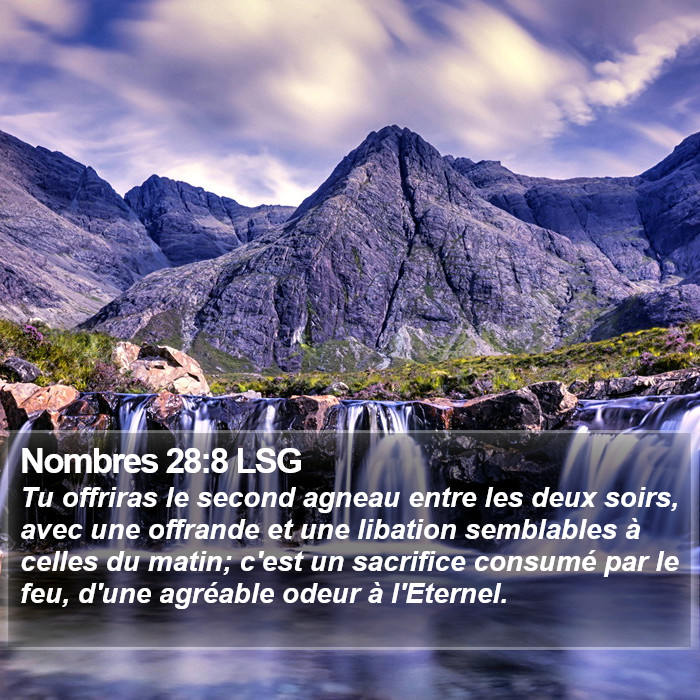 Nombres 28:8 LSG Bible Study