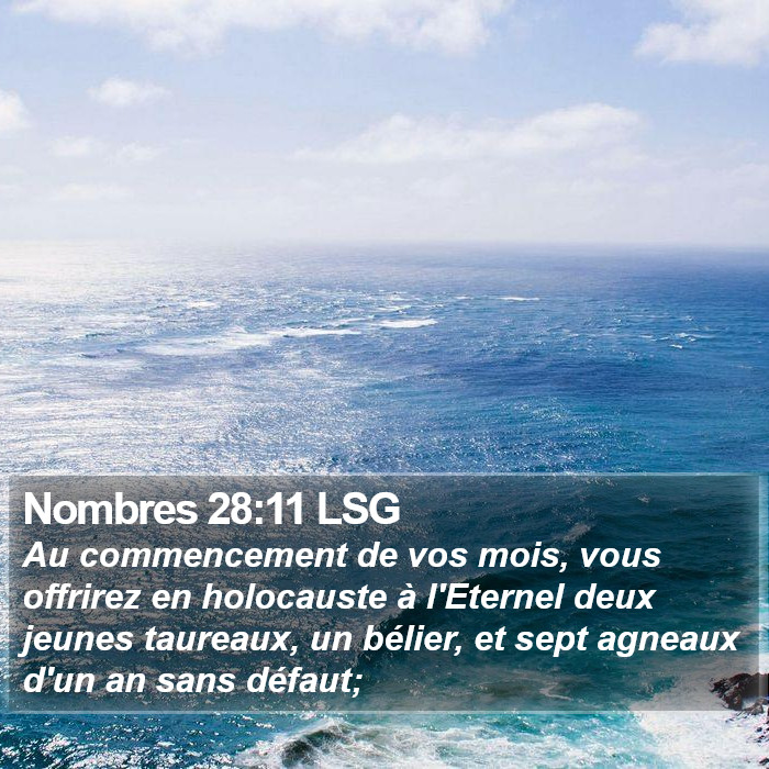 Nombres 28:11 LSG Bible Study