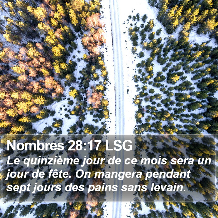 Nombres 28:17 LSG Bible Study
