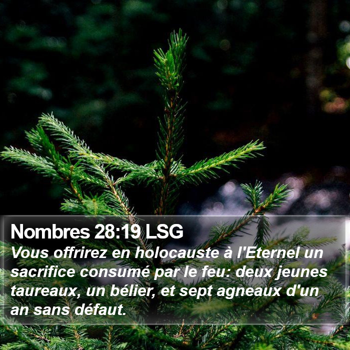 Nombres 28:19 LSG Bible Study