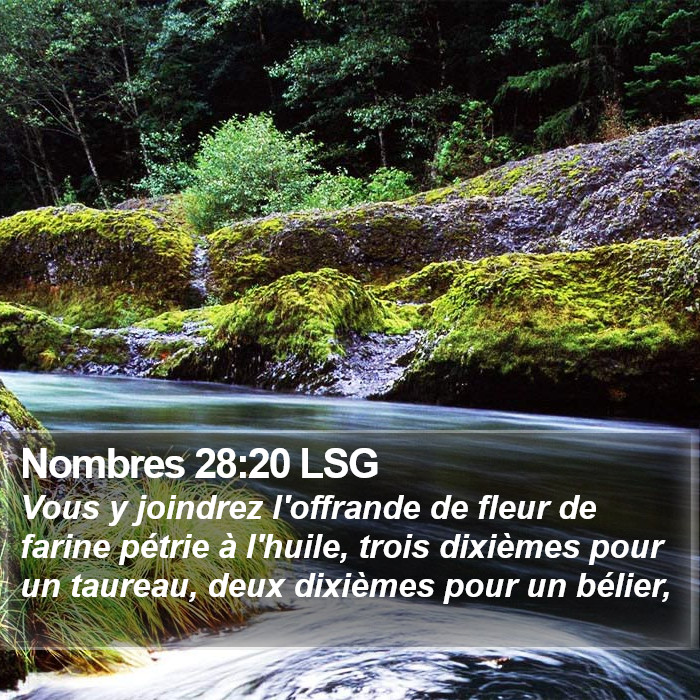 Nombres 28:20 LSG Bible Study