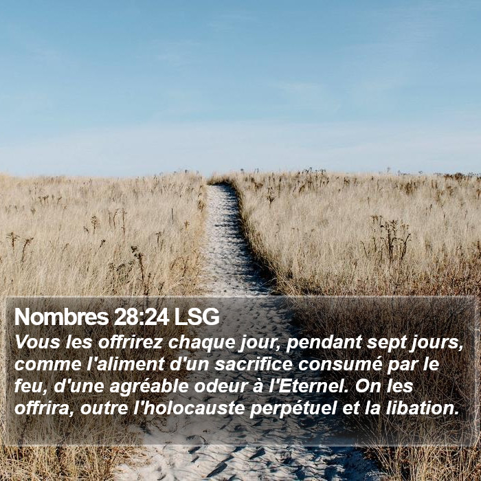 Nombres 28:24 LSG Bible Study