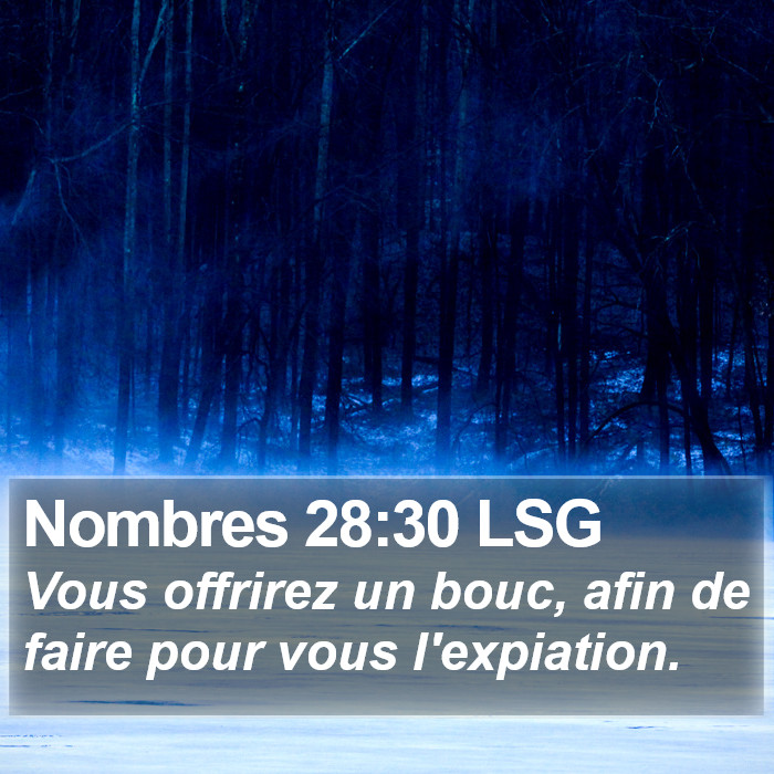 Nombres 28:30 LSG Bible Study