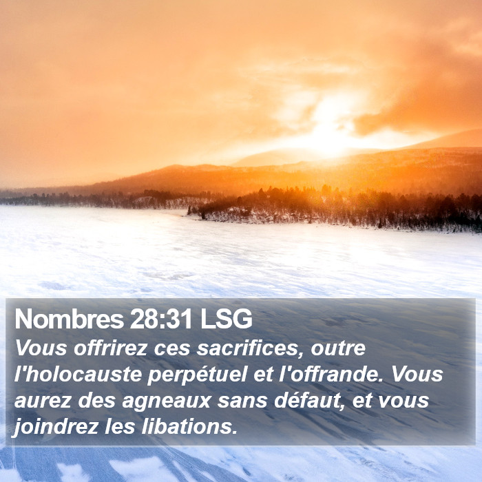 Nombres 28:31 LSG Bible Study