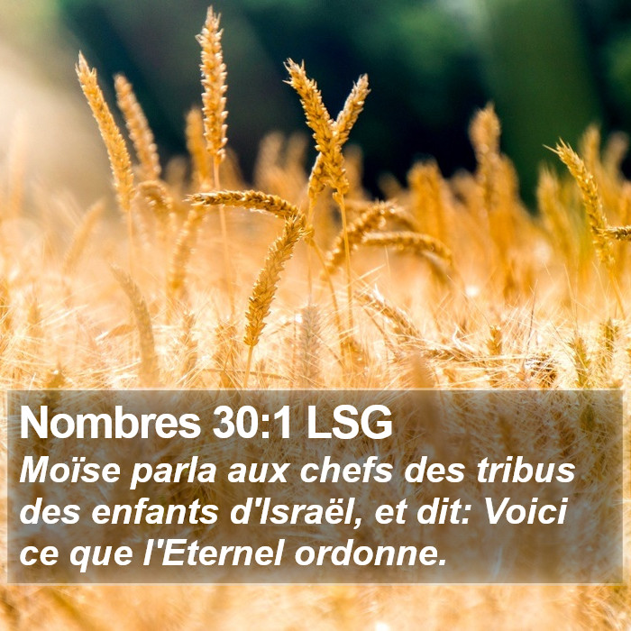 Nombres 30:1 LSG Bible Study