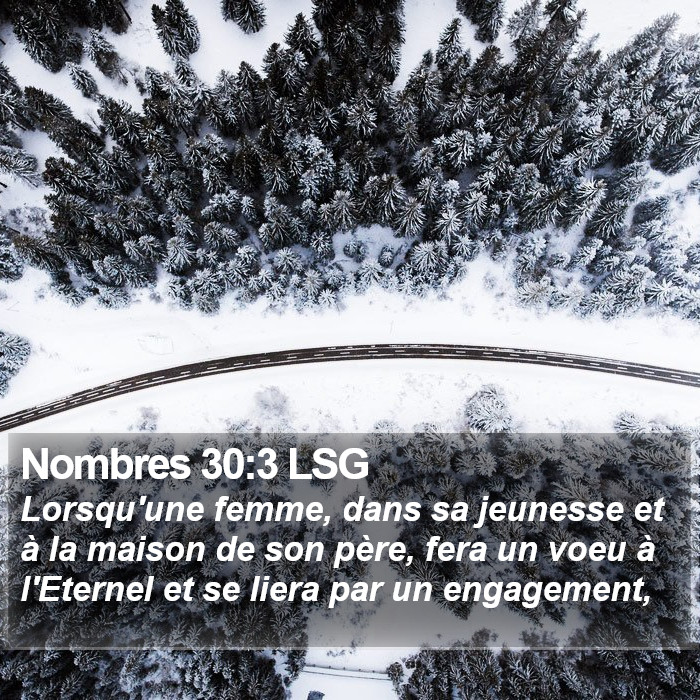 Nombres 30:3 LSG Bible Study