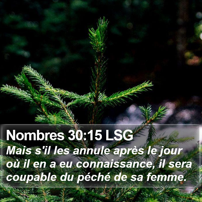 Nombres 30:15 LSG Bible Study