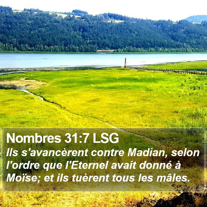 Nombres 31:7 LSG Bible Study