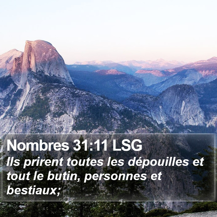 Nombres 31:11 LSG Bible Study